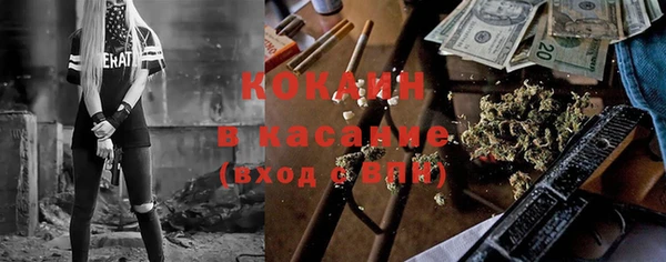 ешки Алексин