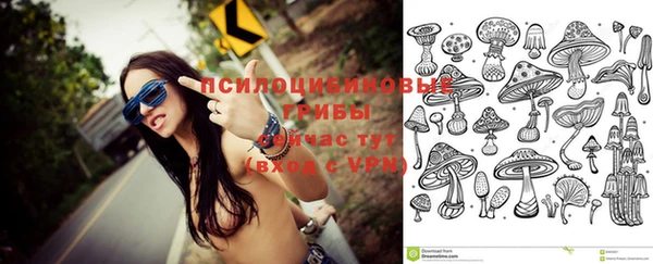spice Алексеевка