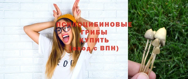 spice Алексеевка